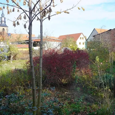 Huette Mit Herz Im Harz Meisdorf